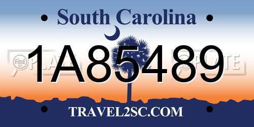 1A85489 South Carolina License Plate