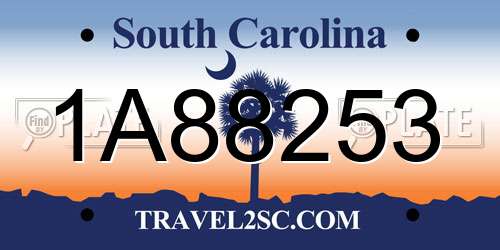 1A88253 South Carolina License Plate