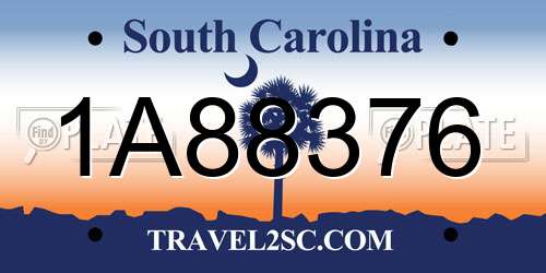 1A88376 South Carolina License Plate