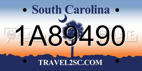 1A89490 South Carolina License Plate