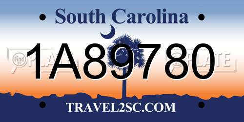 1A89780 South Carolina License Plate