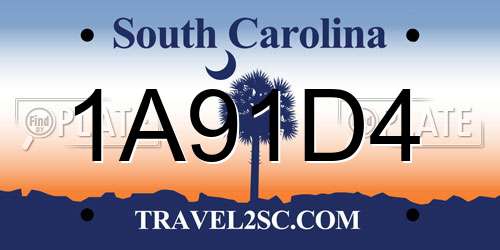 1A91D4 South Carolina License Plate