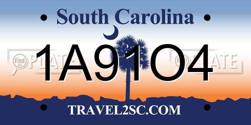 1A91O4 South Carolina License Plate