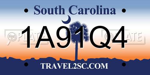 1A91Q4 South Carolina License Plate