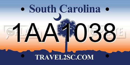 1AA1038 South Carolina License Plate