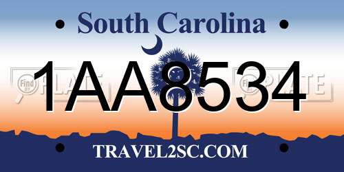 1AA8534 South Carolina License Plate