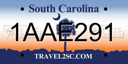 1AAE291 South Carolina License Plate