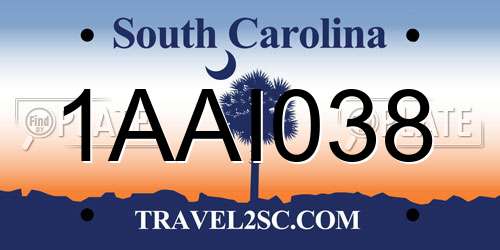 1AAI038 South Carolina License Plate