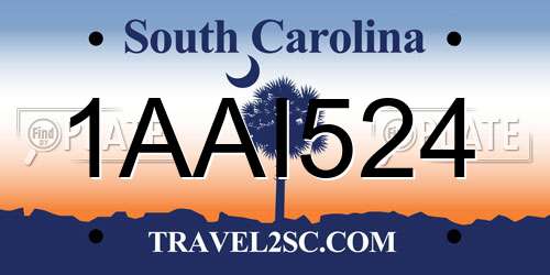 1AAI524 South Carolina License Plate