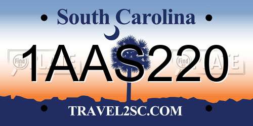 1AAS220 South Carolina License Plate