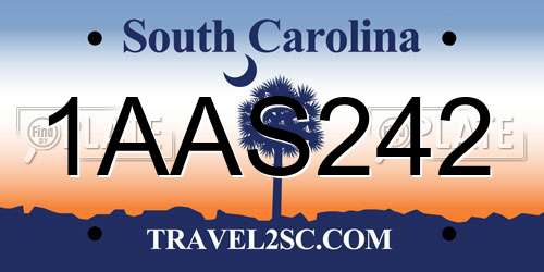 1AAS242 South Carolina License Plate