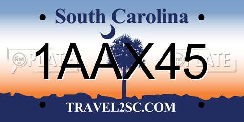 1AAX45 South Carolina License Plate