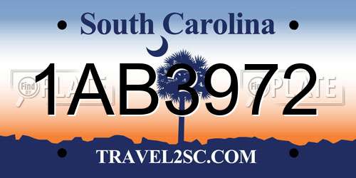 1AB3972 South Carolina License Plate