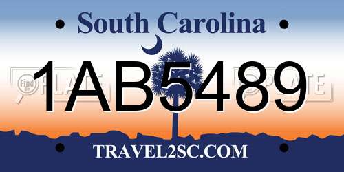 1AB5489 South Carolina License Plate