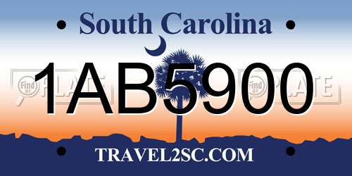 1AB5900 South Carolina License Plate