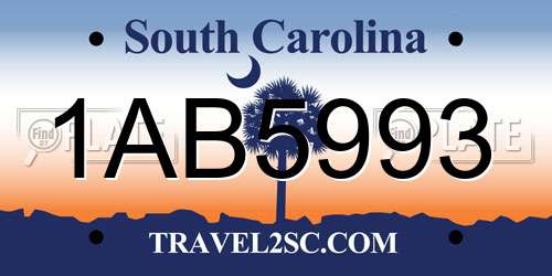 1AB5993 South Carolina License Plate