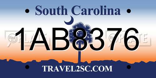1AB8376 South Carolina License Plate