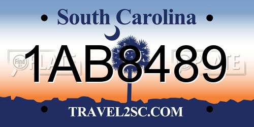 1AB8489 South Carolina License Plate