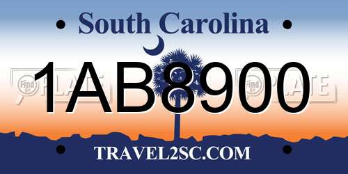 1AB8900 South Carolina License Plate