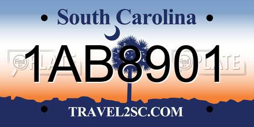 1AB8901 South Carolina License Plate