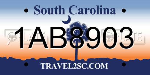 1AB8903 South Carolina License Plate