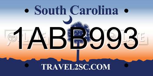 1ABB993 South Carolina License Plate