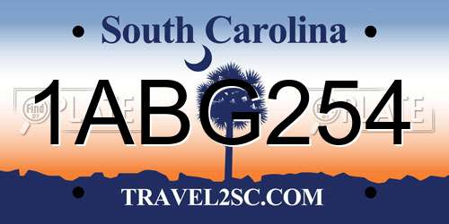 1ABG254 South Carolina License Plate
