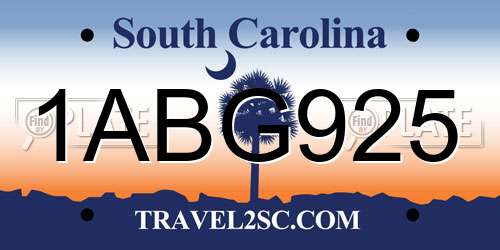 1ABG925 South Carolina License Plate