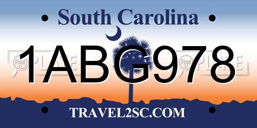 1ABG978 South Carolina License Plate