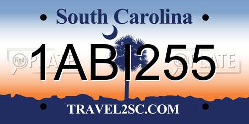 1ABI255 South Carolina License Plate