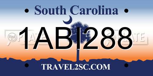 1ABI288 South Carolina License Plate