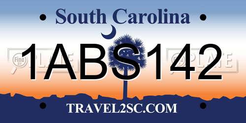 1ABS142 South Carolina License Plate