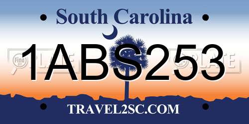 1ABS253 South Carolina License Plate