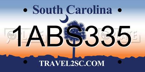 1ABS335 South Carolina License Plate