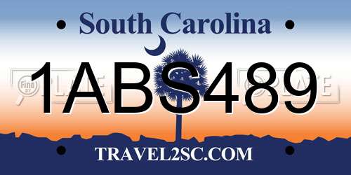 1ABS489 South Carolina License Plate