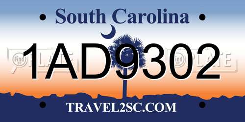 1AD9302 South Carolina License Plate