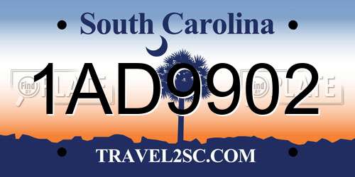 1AD9902 South Carolina License Plate