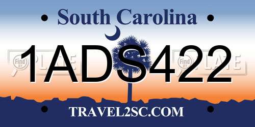 1ADS422 South Carolina License Plate
