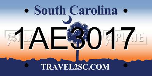 1AE3017 South Carolina License Plate