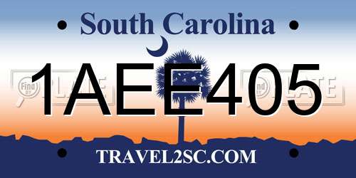 1AEE405 South Carolina License Plate
