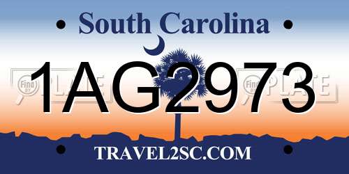 1AG2973 South Carolina License Plate