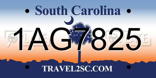 1AG7825 South Carolina License Plate