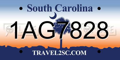 1AG7828 South Carolina License Plate