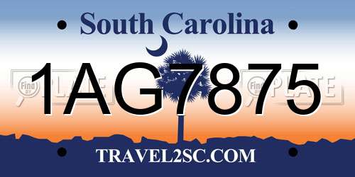 1AG7875 South Carolina License Plate
