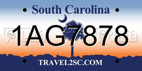 1AG7878 South Carolina License Plate
