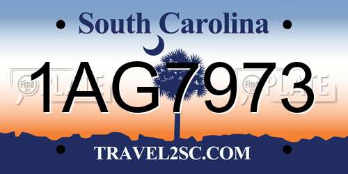 1AG7973 South Carolina License Plate