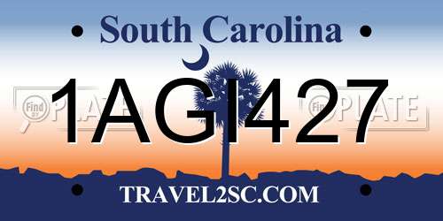 1AGI427 South Carolina License Plate