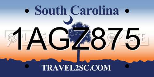 1AGZ875 South Carolina License Plate