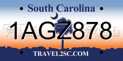 1AGZ878 South Carolina License Plate