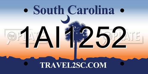 1AI1252 South Carolina License Plate